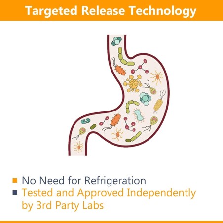 Probiotice, Healthy Origins, 30 Miliarde Organisme Vii, 8 Tulpini Biodisponibile, 150cps